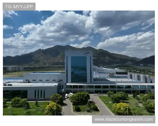 尊龙凯时集团:打造高效管理体系实现企业可持续发展的关键因素 尊龙凯时集团:打造高效管理体系实现企业可持续发展的关键因素