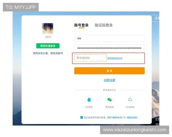 尊龙集团官网怎么登录安全保障措施，确保用户账号信息安全的实用建议